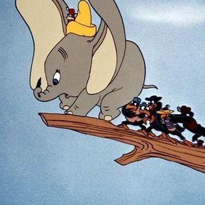 Meet your Posher, Ellen